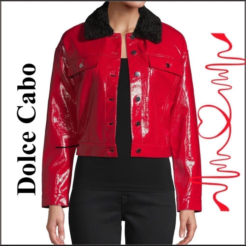 Dolce Cabo Faux Leather Jacket